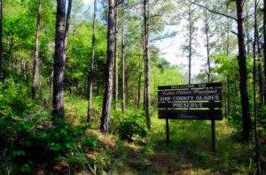 West Alabama Image west alabama image