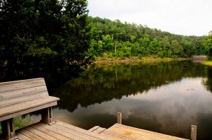 West Alabama Image west alabama image