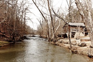 West Alabama Image west alabama image