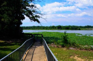 West Alabama Image west alabama image
