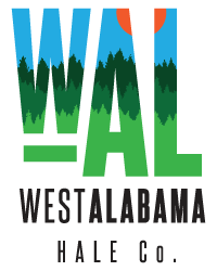 logo for Fayette County-West Alabama