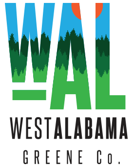 logo for Fayette County-West Alabama