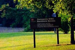 West Alabama Image west alabama image