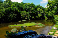 West Alabama Image west alabama image