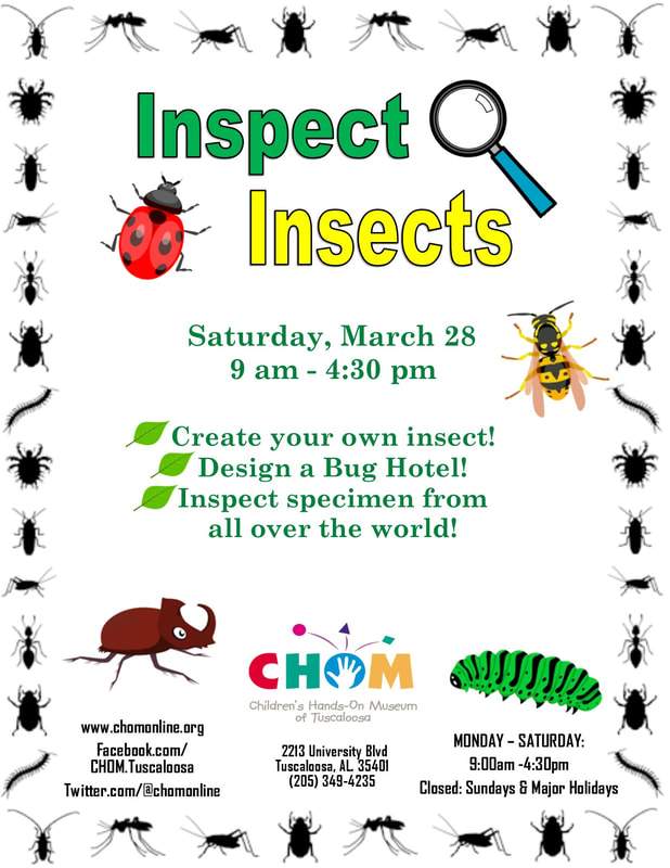 inspect insects