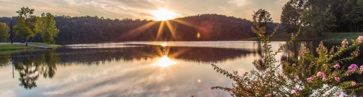 sleepy kraken runyak