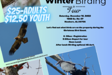 Winter Birding Tour Flyer 12-16-23
